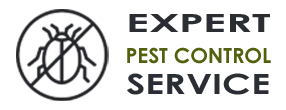 Pest Control Exterminator  Homestead FL